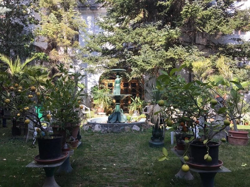 Hunting castle of Esterházy 3