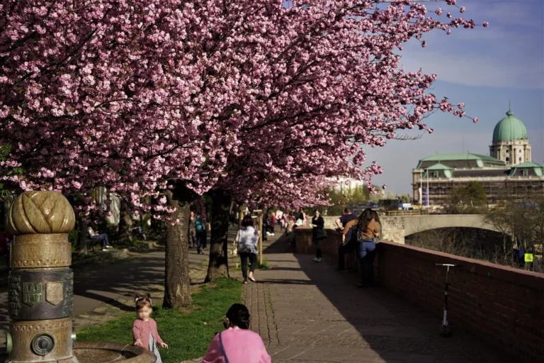 budapest spring festival hungary news
