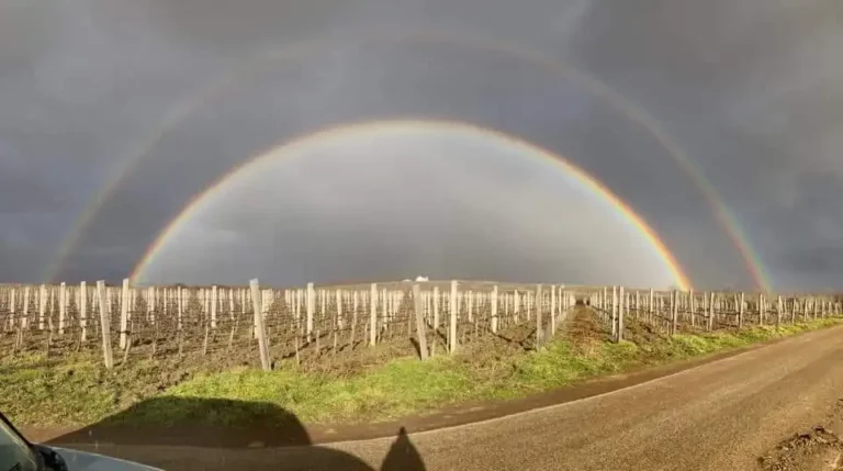 Spring Hungary weather