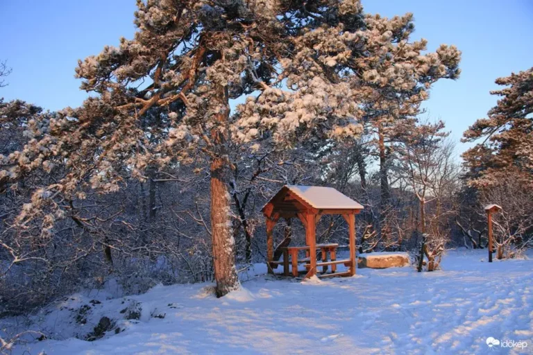 Hungary covered by 12 cm of snow yesterday, but tomorrow spring will come (Copy)