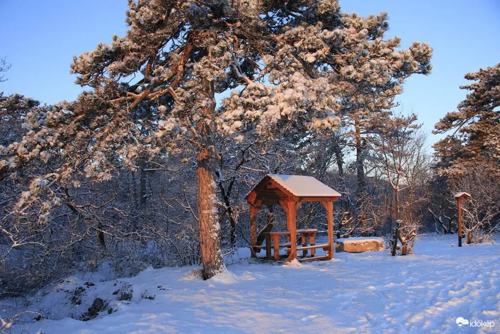 Hungary covered by 12 cm of snow yesterday, but tomorrow spring will come (Copy)