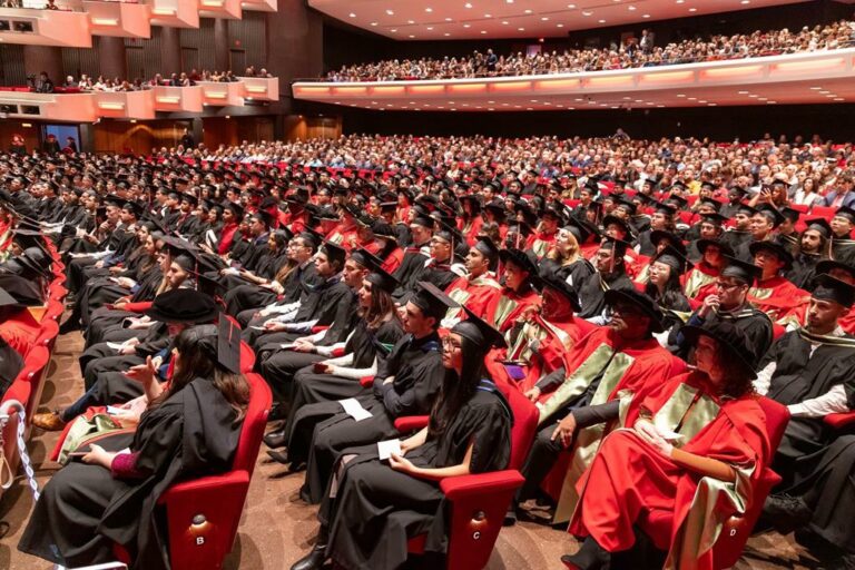 Canadian university to use Hungarian 3d brain imaging technology (Copy)