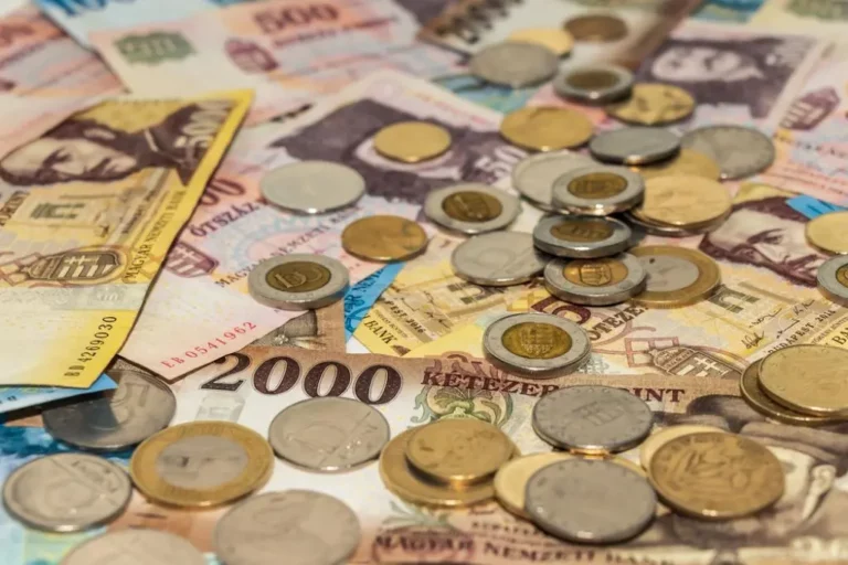 forint money collector coin central bank