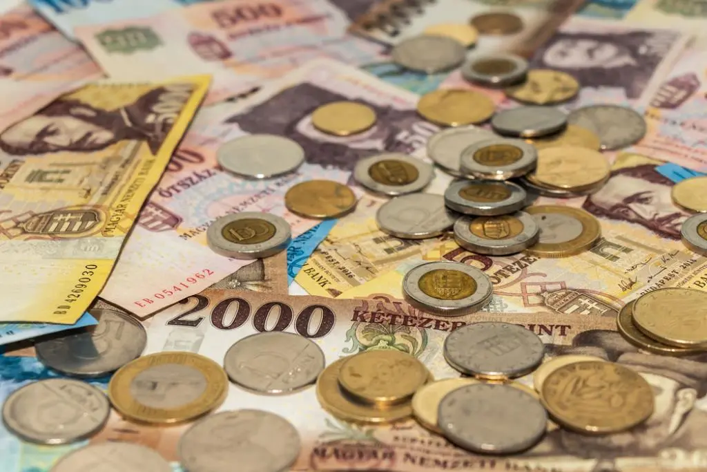 forint money collector coin central bank