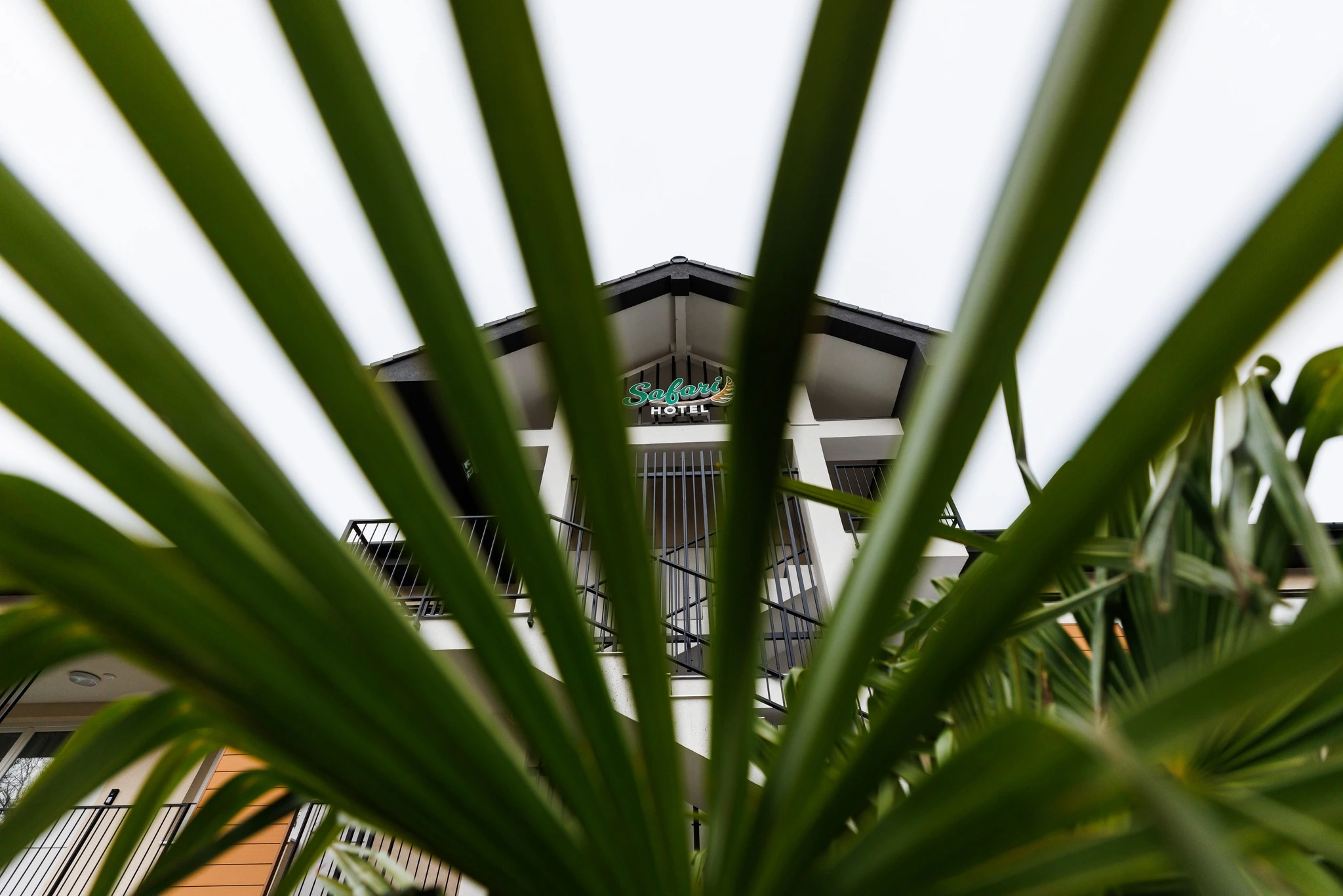 New 'safari' hotel opened in Hungary