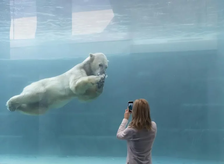 Ice World in Nyíregyháza Zoo