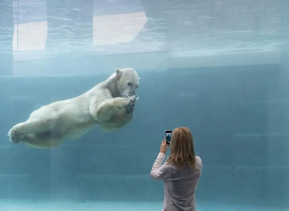 Ice World in Nyíregyháza Zoo