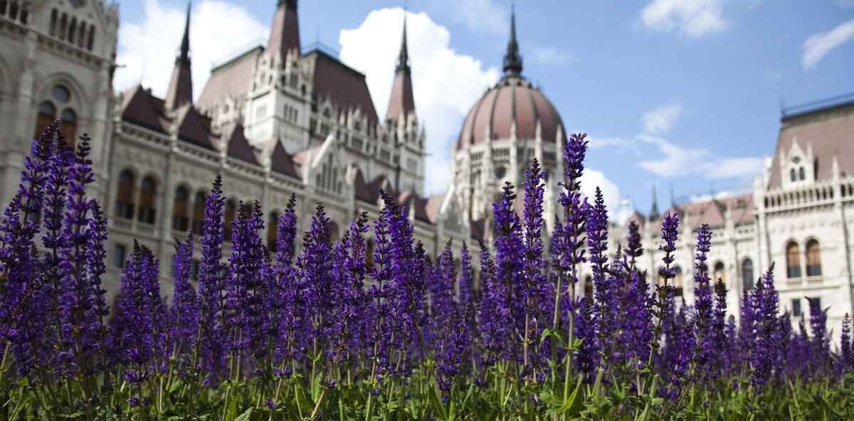 spring in Hungary Hungary news