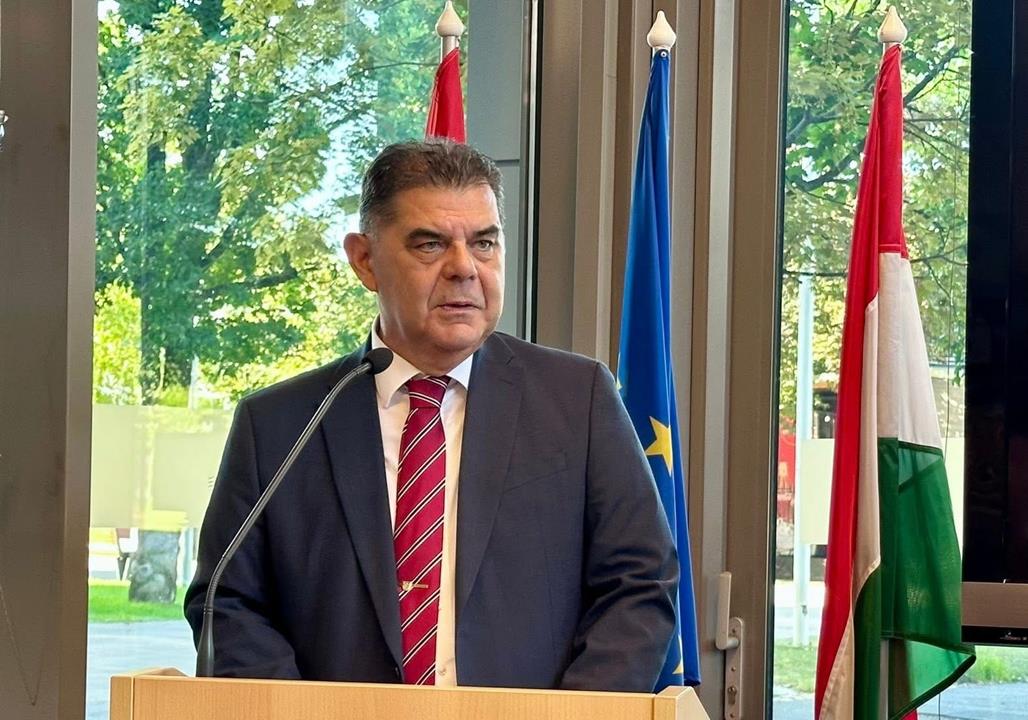 Croatian Ambassador Mladen Andrlić DNH interview