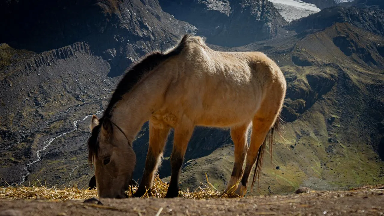 Tracking Peru's Hidden Rainbow Mountain