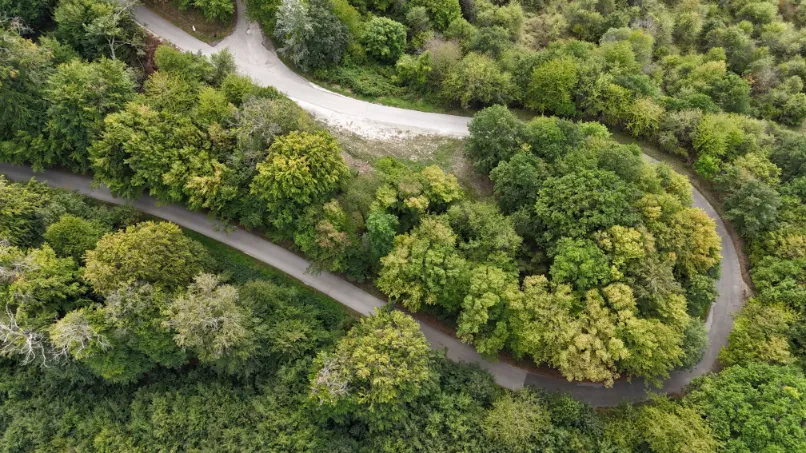 Forest cycle route of the year