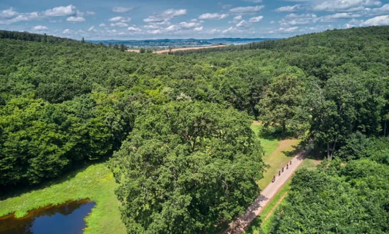 Forest cycle route of the year