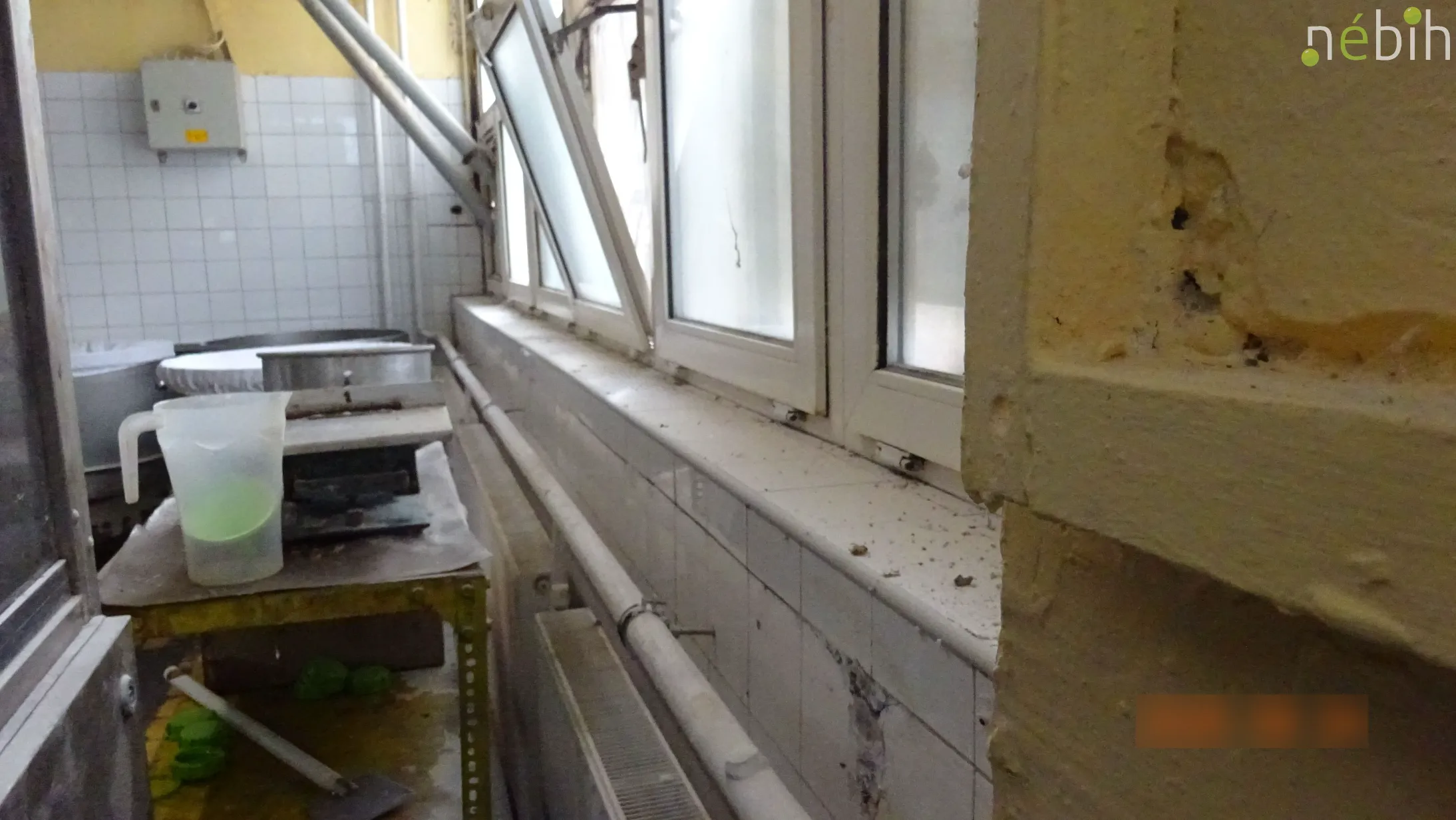 Chilling discovery: horror bakery uncovered in Hungary – photos, video