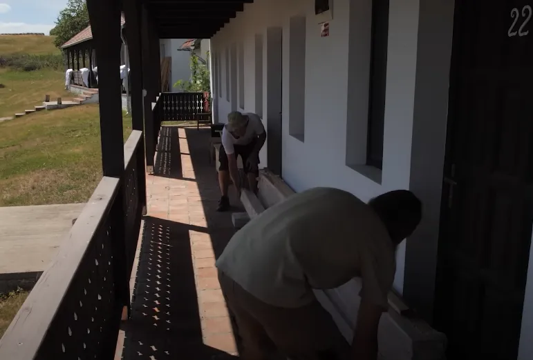 The remarkable tale of a fully Dutch village thriving in one of Hungary's poorest regions Hungary news