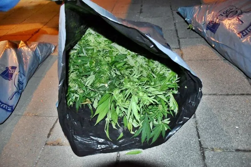 Austrian man caught in Hungary with bags of cannabis after failing to pay for fuel – photos