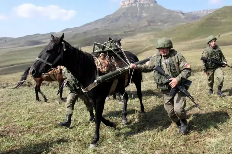 Russian Ukraine war horseback donkeys in frontline
