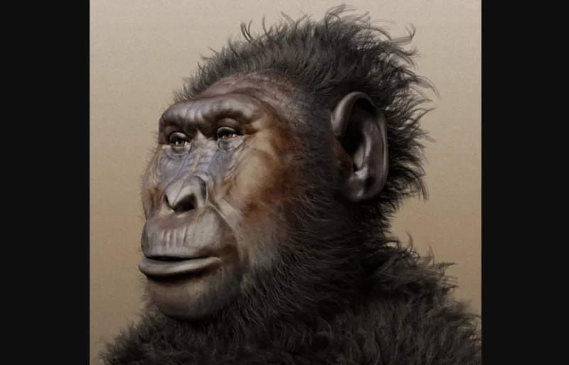 paranthropus-boisei-nutcracker man