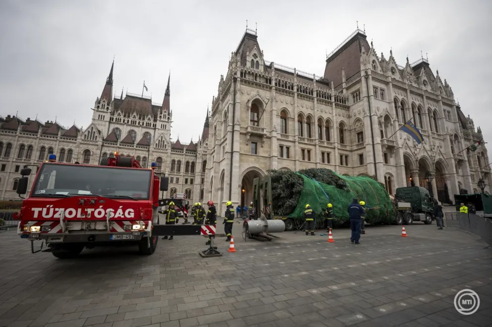 Hungary's 'national Christmas tree