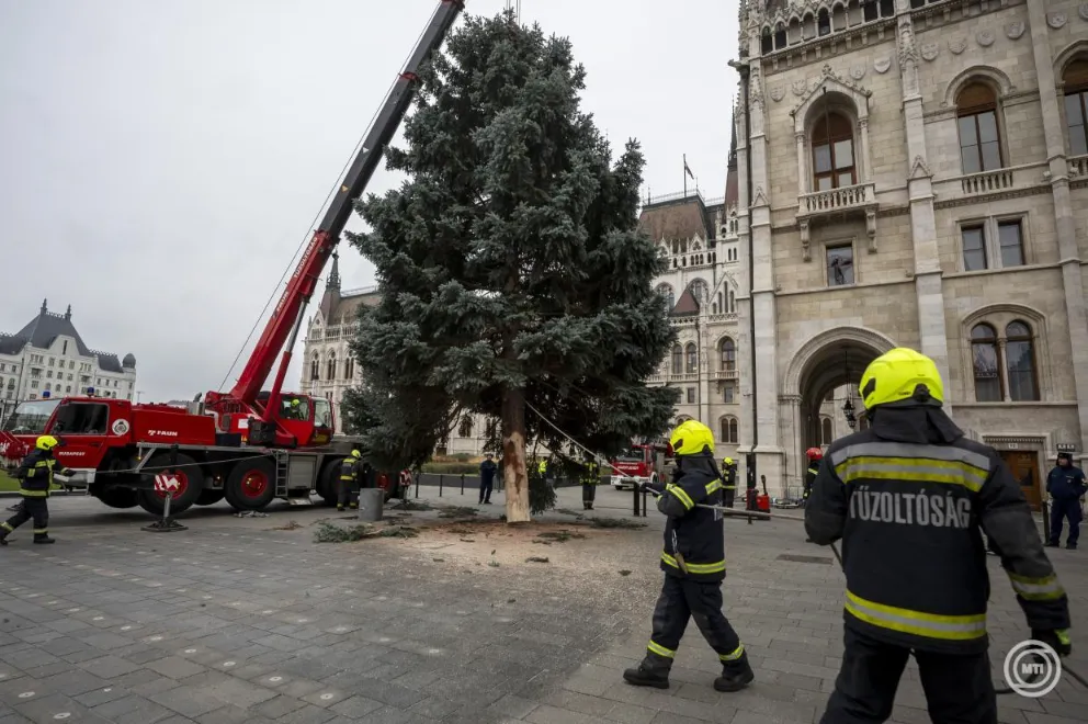 Hungary's 'national Christmas tree