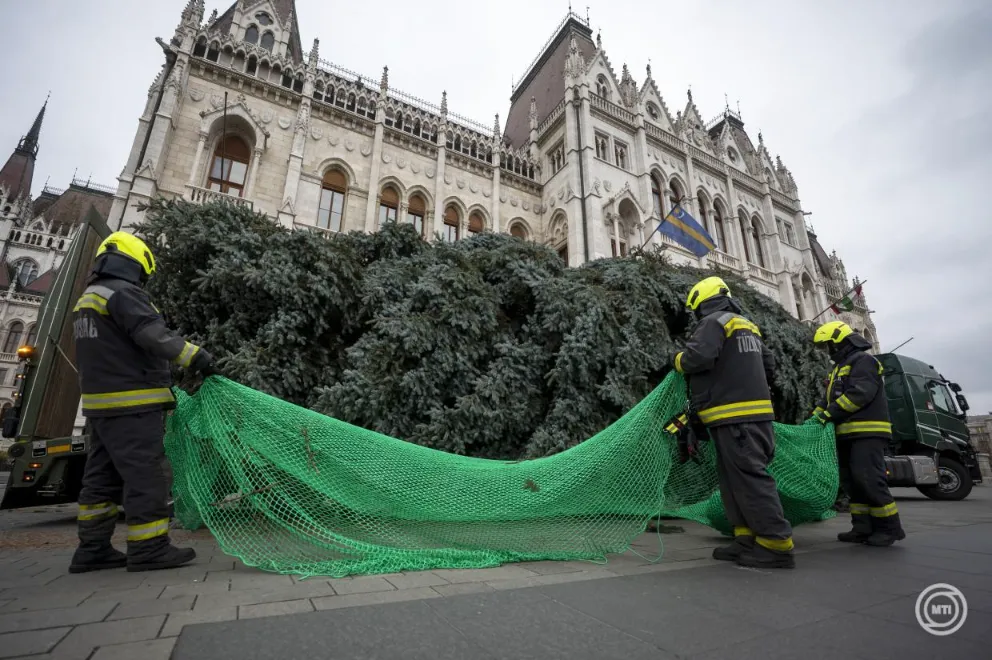 Hungary's 'national Christmas tree