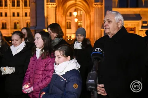 Hungary's Christmas Tree lights switched on